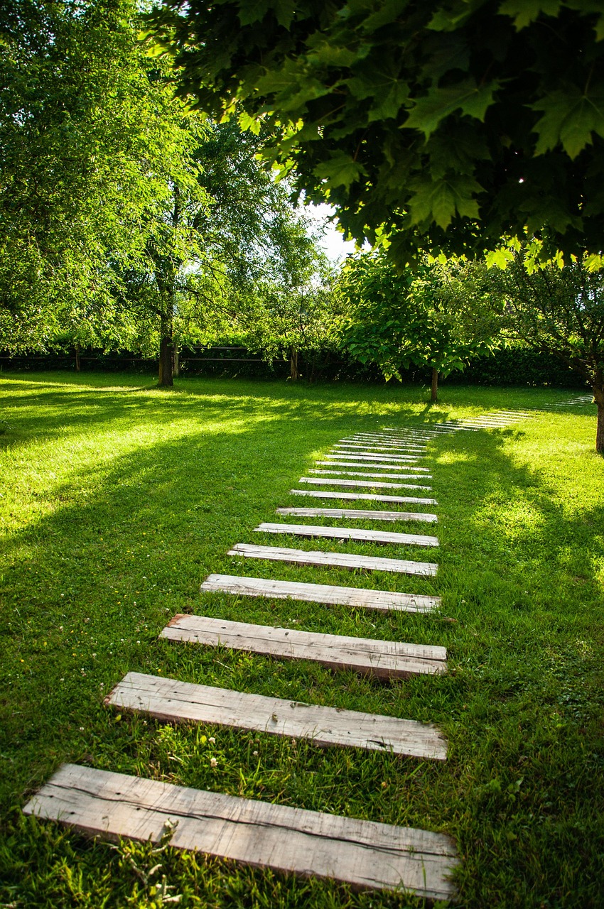 path, green, nature, forest, environment, trail, grass, landscape, trees, tree, field, away, autumn, natural, scenic, hiking, pathway, shadow, growth, park, fear, journey, choice, hill, farm