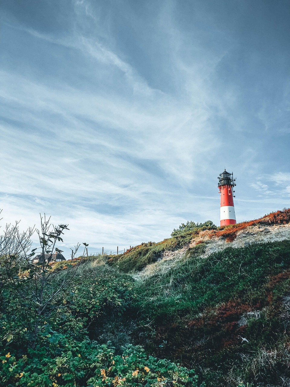 lighthouse, island, meadow, sylt, north sea, nature, dunes, coast, lighthouse, lighthouse, lighthouse, lighthouse, lighthouse, sylt
